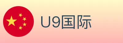U9国际 logo